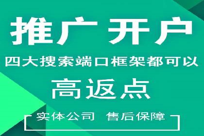 谷歌SEM广告策略：某电商平台的成功逆袭案例
